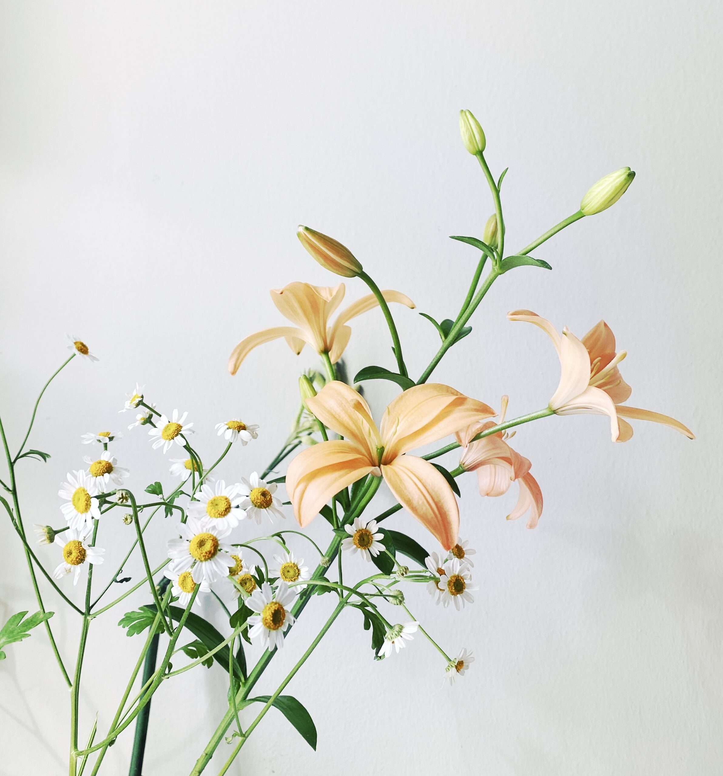 HipstamaticPhoto-643304781.261046